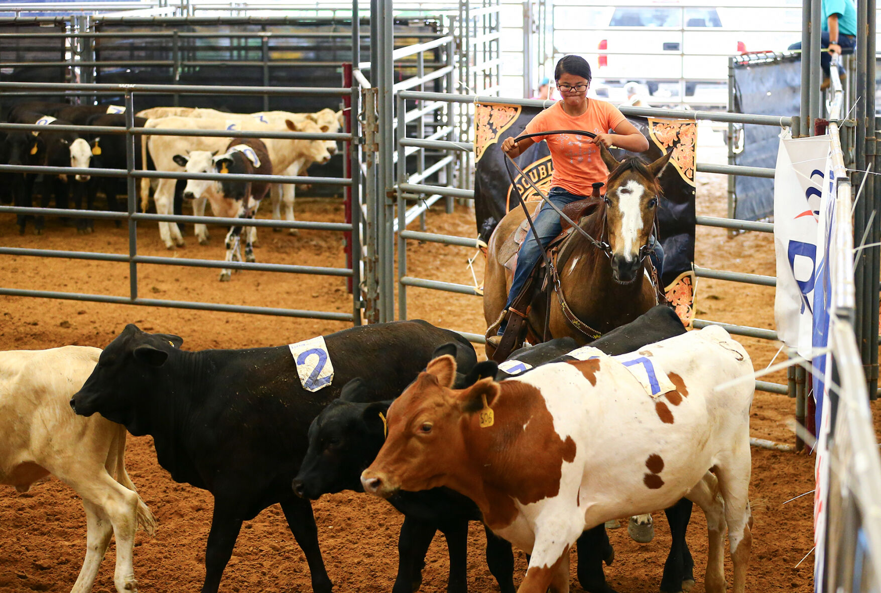 Ranch Sorting of America
